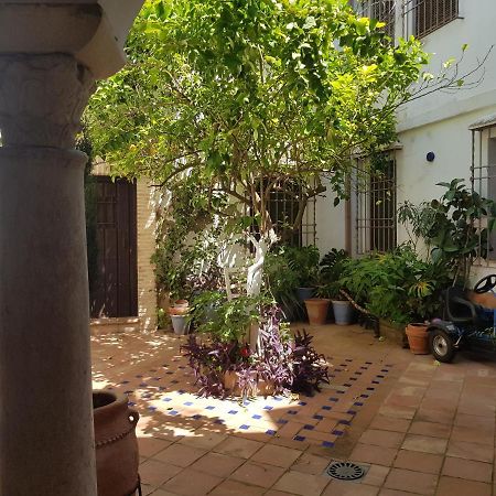Casa Patio Los Suenos De Daury II Córdoba Exteriér fotografie